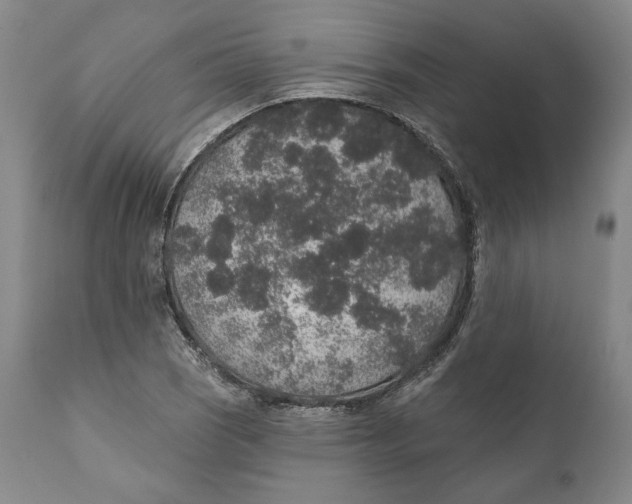 X0000110761121200907061048