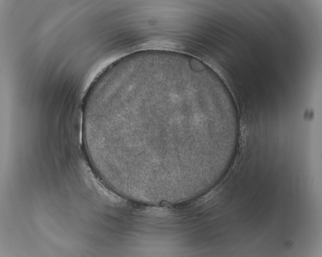 X0000110761123200907061048