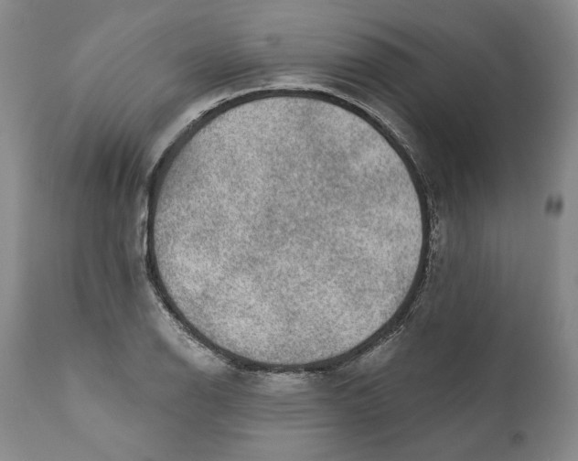 X0000110761126200907061049
