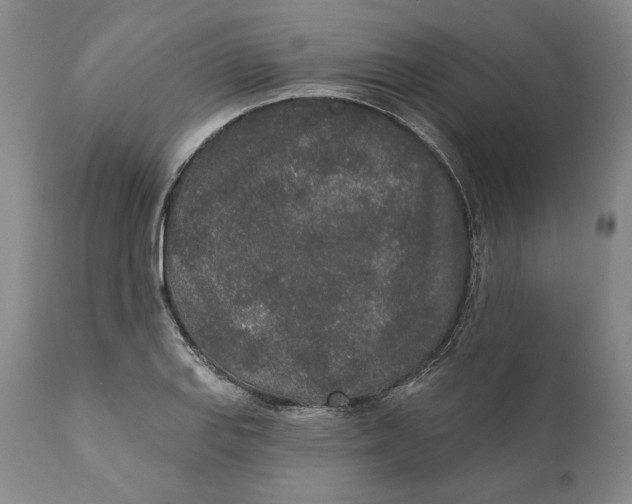 X0000110761127200907061049