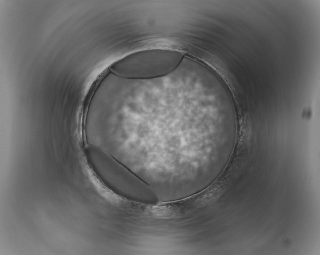 X0000110761128200907061049