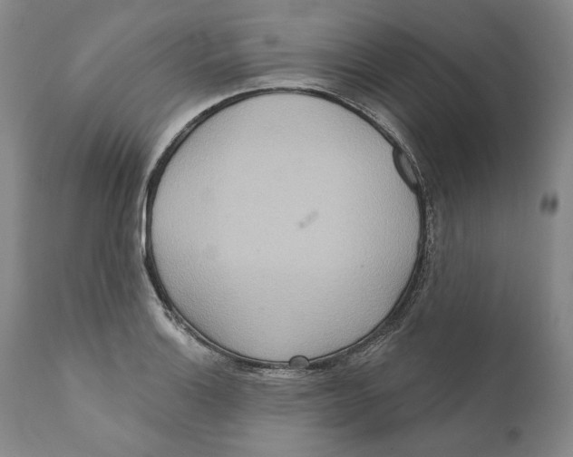 X0000110761132200907061049