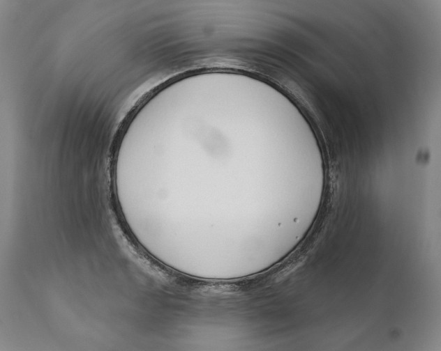 X0000110761133200907061049
