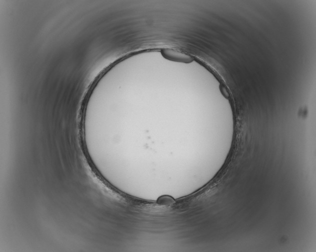 X0000110761135200907061049