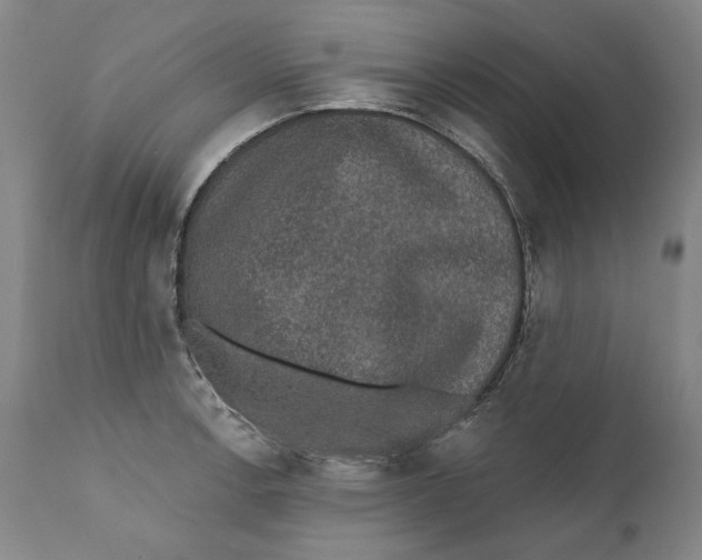 X0000110761138200907061049
