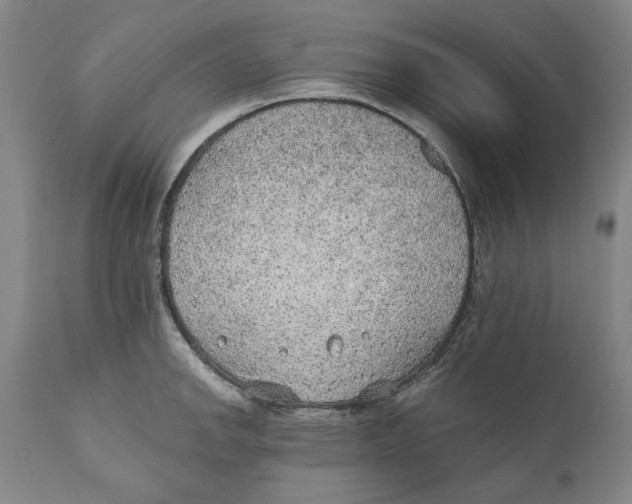 X0000110761142200907061049
