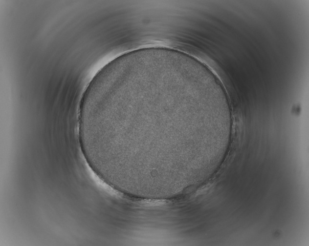 X0000110761143200907061049