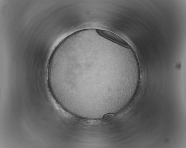 X0000110761144200907061049
