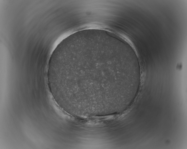 X0000110761146200907061049