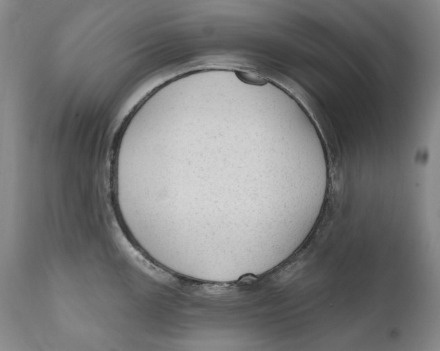 X0000110761147200907061049