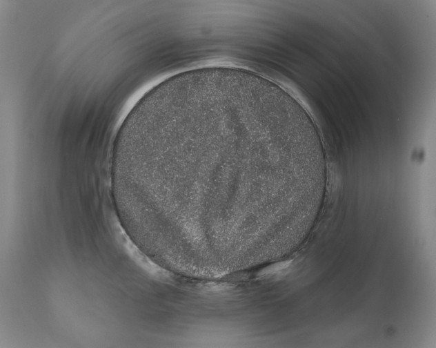 X0000110761148200907061049