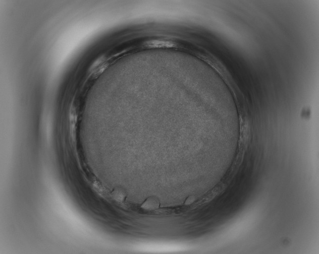X0000110761151200907061049