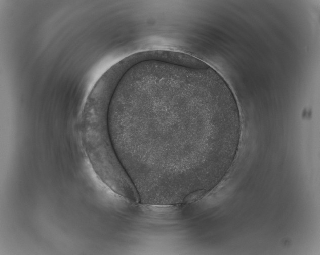 X0000110761152200907061049