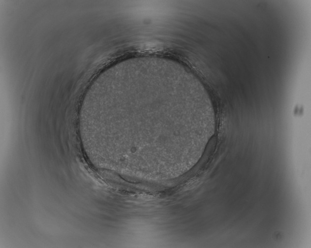 X0000110761153200907061048