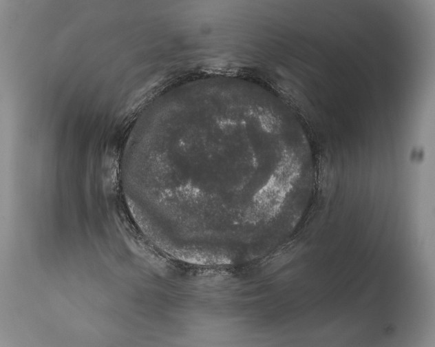 X0000110761154200907061048
