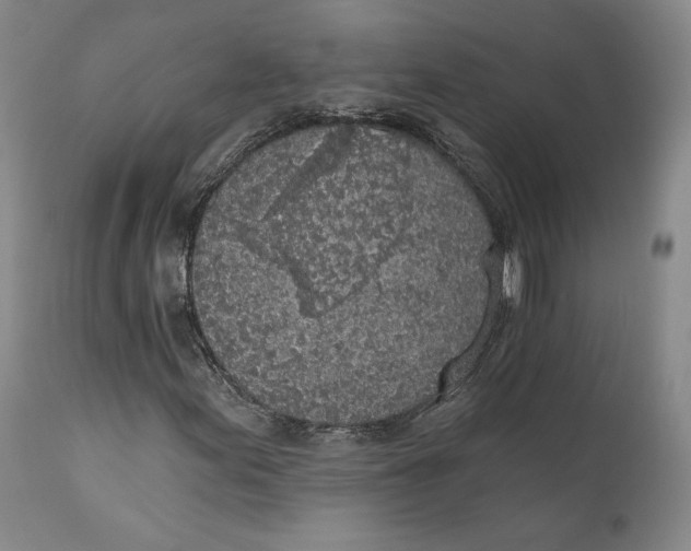 X0000110761155200907061048