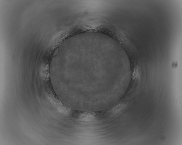X0000110761156200907061048