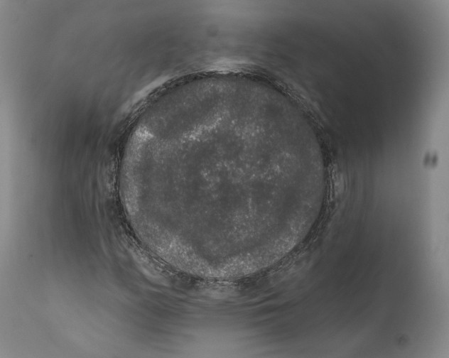 X0000110761158200907061048