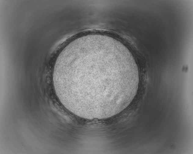 X0000110761159200907061048