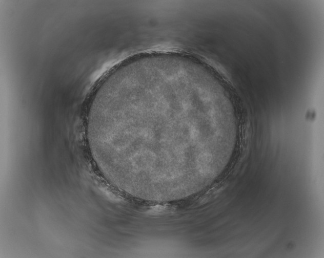 X0000110761160200907061048