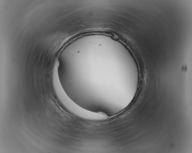 X0000110761161200907061048