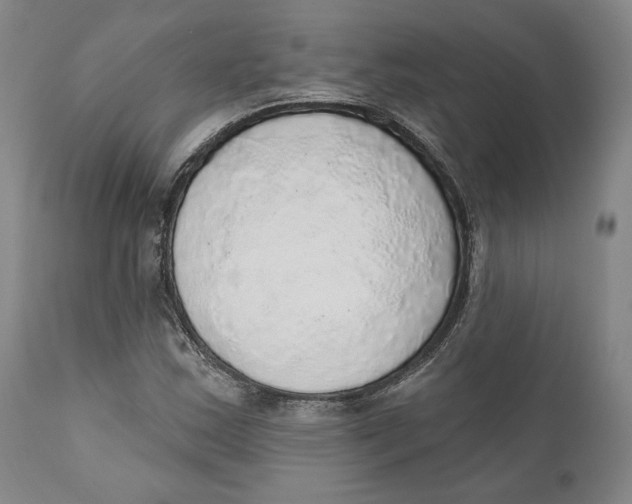 X0000110761163200907061048