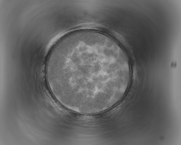 X0000110761164200907061048