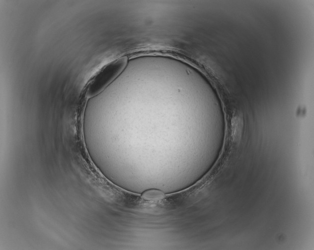 X0000110761165200907061048
