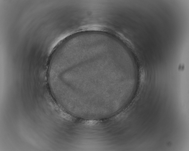 X0000110761166200907061048