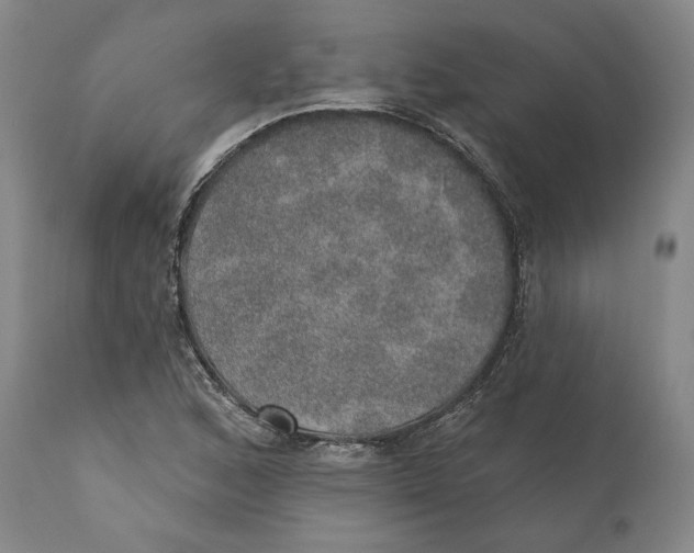 X0000110761168200907061048
