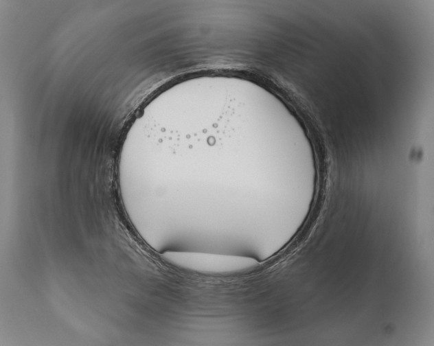 X0000110761169200907061048