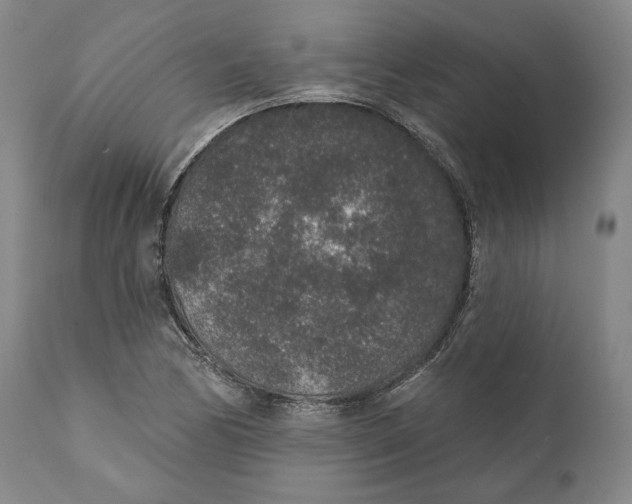 X0000110761170200907061048