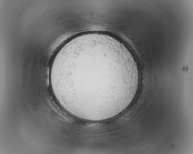 X0000110761171200907061048