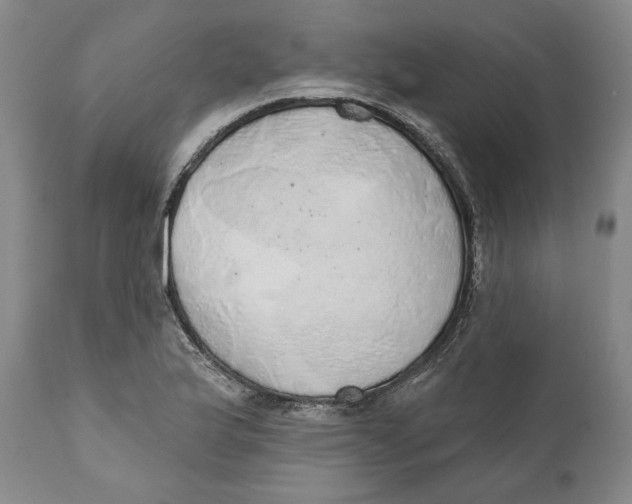 X0000110761175200907061048
