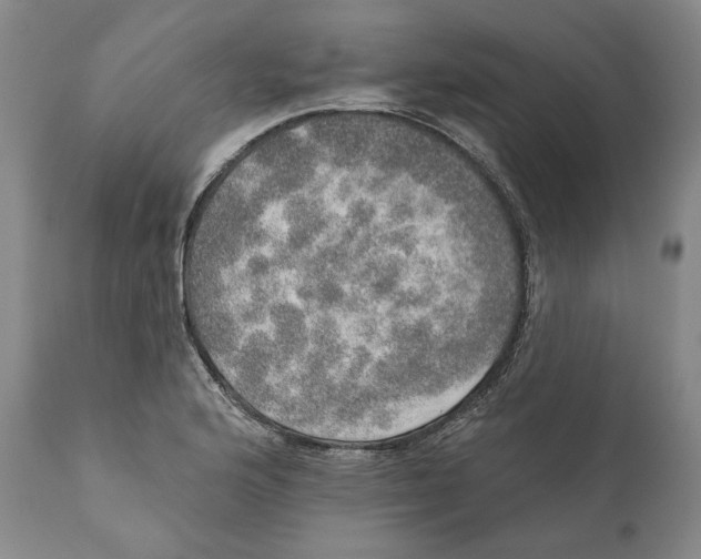 X0000110761176200907061048
