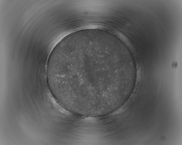 X0000110761178200907061048