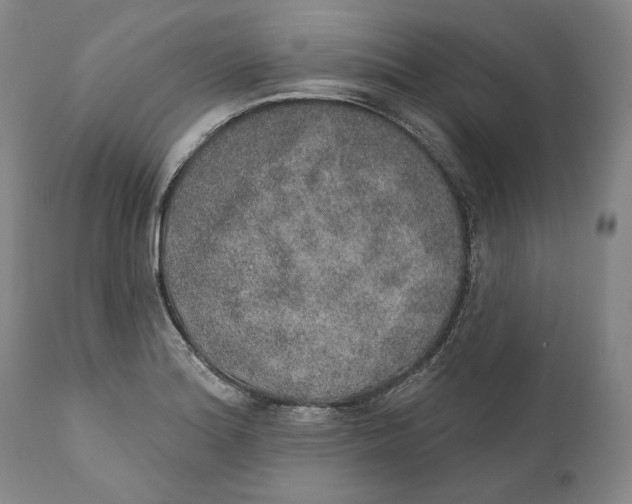 X0000110761180200907061047