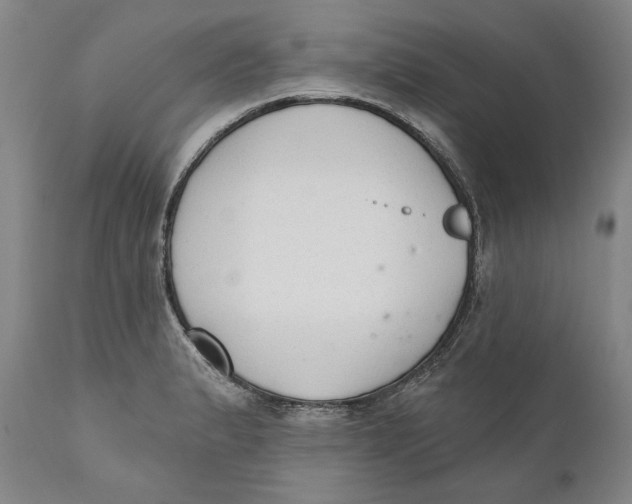 X0000110761183200907061047
