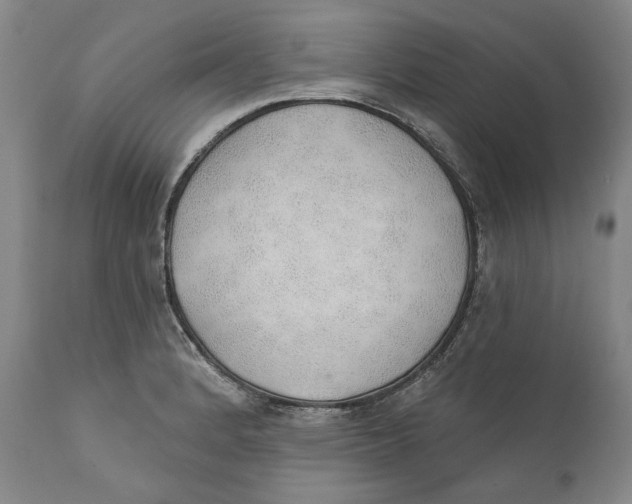 X0000110761184200907061047