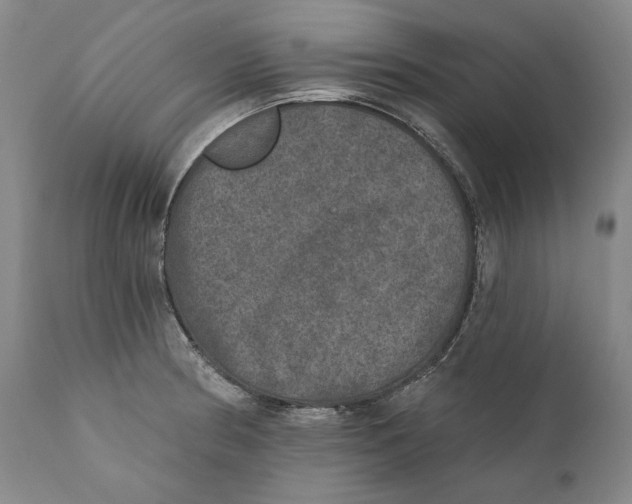 X0000110761186200907061047