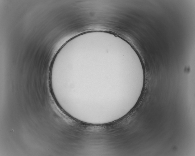 X0000110761187200907061047