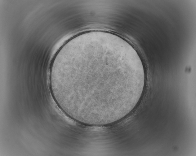 X0000110761188200907061047
