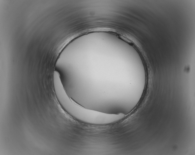 X0000110761193200907061047