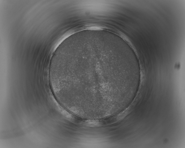 X0000110761194200907061047