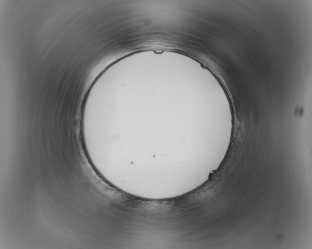X0000110761195200907061047