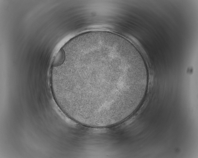X0000110761196200907061047