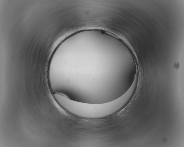 X0000110761197200907061047