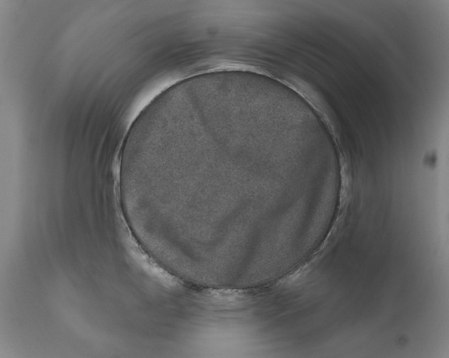 X0000110761198200907061047