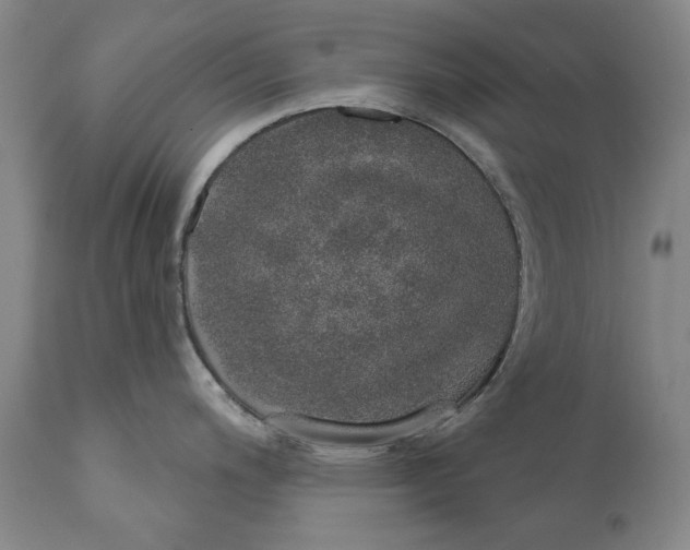 X0000110761200200907061047
