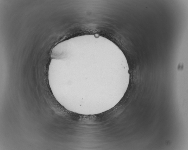 X0000110761201200907061046